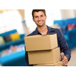 Kartonnen doos enkele golf testliner - 430mm x 310mm x 200mm (bruin)